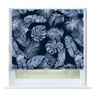 Тропическая ночь